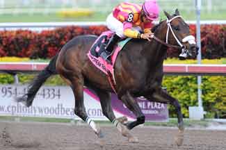 FORCE FREEZE WINS GULFSTREAM PARK SPRINT CHAMPIONSHIP STAKES