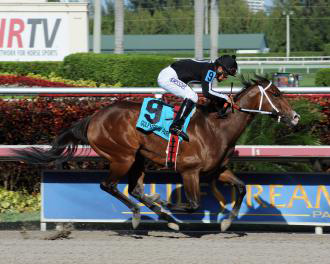 Paco Lopez guides R Free Roll to a 4 1/4-length victory in the $75,000 Hollywood Beach Stakes.