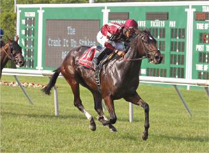 Brandy's-Girl-impresses-in-Crank-It-Up-Stakes---Daily-Racing-Form