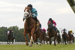 Richiefromshoprite #4 with Gabriel Saez riding won the $60,000 Dan Horn Handicap at Monmouth Park on Sunday June 16, 2013.  Photo By Bill Denver/EQUI-PHOTO.