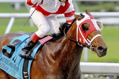 Louisiana Derby Horse Racing