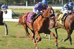Full Salute #8 with Paco Lopez riding won the Select Stakes at Monmouth Park in Oceanport, New Jersey on Sunday June 12, 2016. Photo By Bill Denver/EQUI-PHOTO