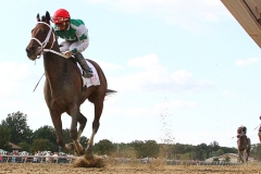 Cathryn Sophia #2 ridden by Paco Lopez won the $150,000 Princess of Sylmar Stakes at Parx Racing in Bensalem, Pennsylvania on September 3, 2016. This race served as her prep race before facing Songbird in the 1,000,000 Grade One Cotillion. Photo By Taylor Ejdys/EQUI-PHOTO