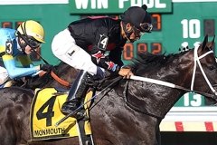 09-04-16-08-TipTapTapizar_Cory_02