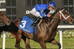 3-11-17-R10-s-Dickinson-Action-300