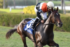 Compelled-the-Juvenile-Fillies-Turf-credit-Lauren-King