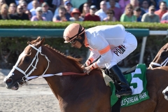Early-Entry-the-Millions-Sprint-credit-Lauren-King