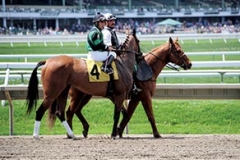 news-monmouthpark-pacolopez2