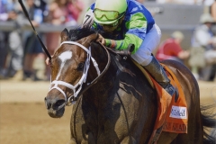 paco-churchill-downs