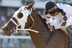 Where's Sterling #3 with Paco Lopez riding won the $250,000 Philip H. Iselin Stakes at Monmouth Park in Oceanport, New Jersey on Saturday August 20, 2011.  Photo By Bill Denver/EQUI-PHOTO.