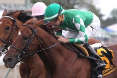 Middleburg #6 with Joe Bravo riding won $100,000 Red Bank Stakes at Monmouth Park in Oceanport, New Jersey on Sunday June 5, 2016. Second was #7 Vyjack with Chris Decarlo riding.  Photo By Bill Denver/EQUI-PHOTO